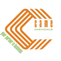 CAME srl Logo
