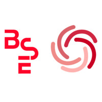 BSE Logo