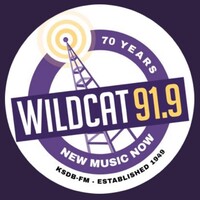 Wildcat 91.9 Logo