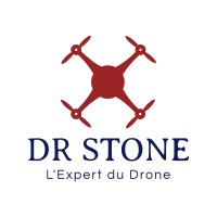DR Stone Logo