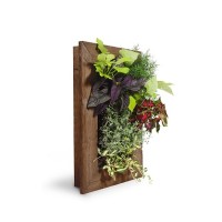 Shop Living Walls Logo