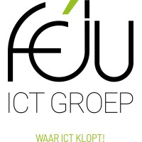 Féju ICT Groep Logo