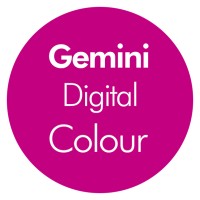 Gemini Digital Colour Logo