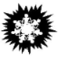 Luz Social Services, Inc. Logo