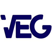 Value Expert Group Logo