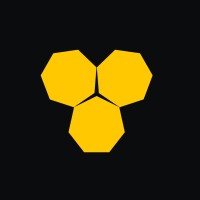 Piltonet Logo