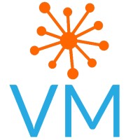 Visual Mapping Logo