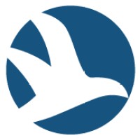 Skyline Communications Logo