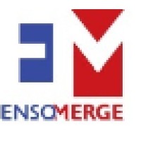 Ensomerge Services Private Limited Logo
