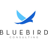 BlueBird Consulting LLC Logo