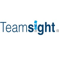 Teamsight Logo