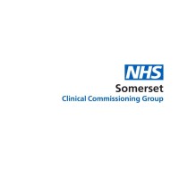 Digital Team at NHS Somerset Clinical Commissioning Group Logo