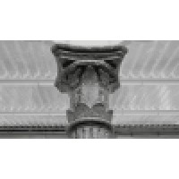 ADVN | archief voor nationale bewegingen Logo