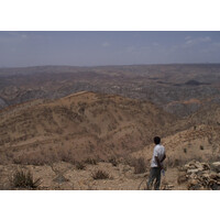 African Power Initiative Logo