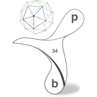 P34B LTD Logo