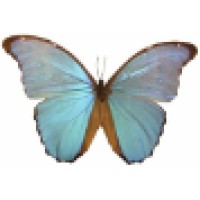 Deanes Kombucha, LLC Logo