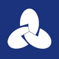 Savvy Group Logo