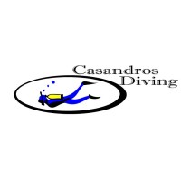 Casandros Logo
