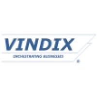 VÍNDIX Solutions Logo