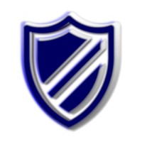 ITNS Consulting, LLC Logo