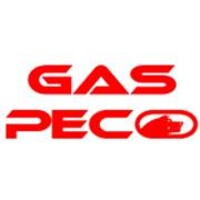 GASPECO L&D Logo