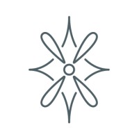 Spark & Bloom Studio Logo