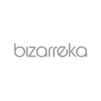 BIZARREKA Architecture Ltd Logo