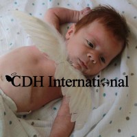 CDH International UK Logo
