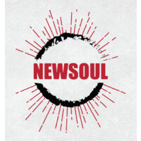 NEWSOUL Logo