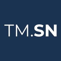 Targeted Media Services Network Logo