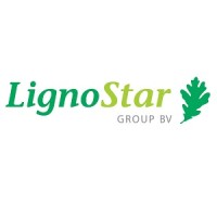 LignoStar Group Logo
