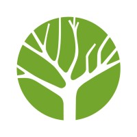 CASSONE Logo