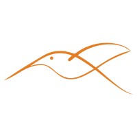 Hummingbird research coaching consulting Logo