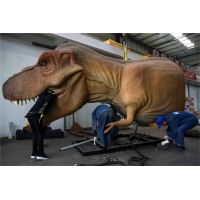 Dino Walk Science & Technology Inc Logo