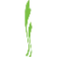 Spring Logo
