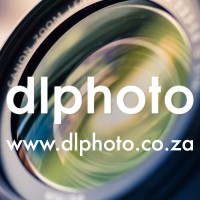 DLPHOTO Logo