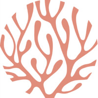 CodeReef Logo