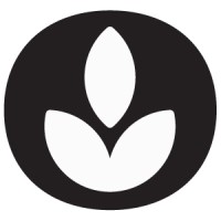 Fourmi Bionique Logo