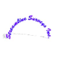 Streamline Surveys Inc Logo