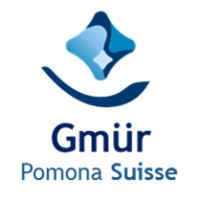 Gmür AG Logo