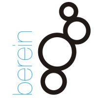 Berein Internet S.L. Logo