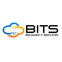 BITS - Brunner IT Services GmbH & Co. KG Logo