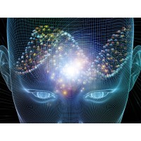 WorldExperts.Ltd Logo