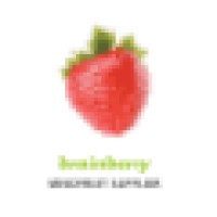 Brainberry Logo