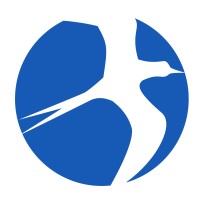 Value IT Swiss Logo