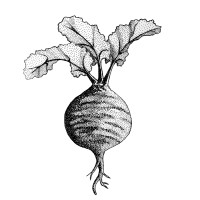 Taproot Collective Logo