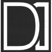 D1 Consulting Logo