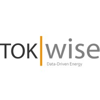 TokWise Logo
