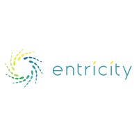 Entricity Logo