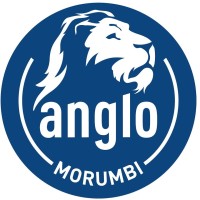 Colégio Anglo Morumbi Logo